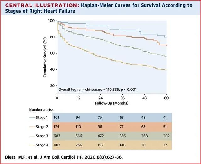 JACC: Heart Failure｜严重继发性三尖瓣反流患者右心衰竭分期的预后意义