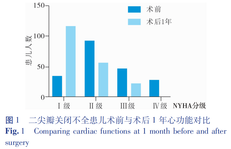 小儿二尖瓣关闭不全瓣膜成形术的临床疗效分析