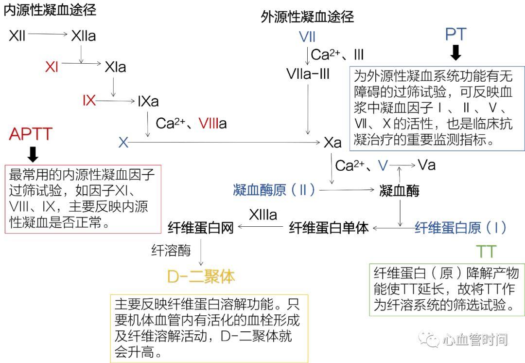 一图牢记：凝血途径及相应检验指标意义