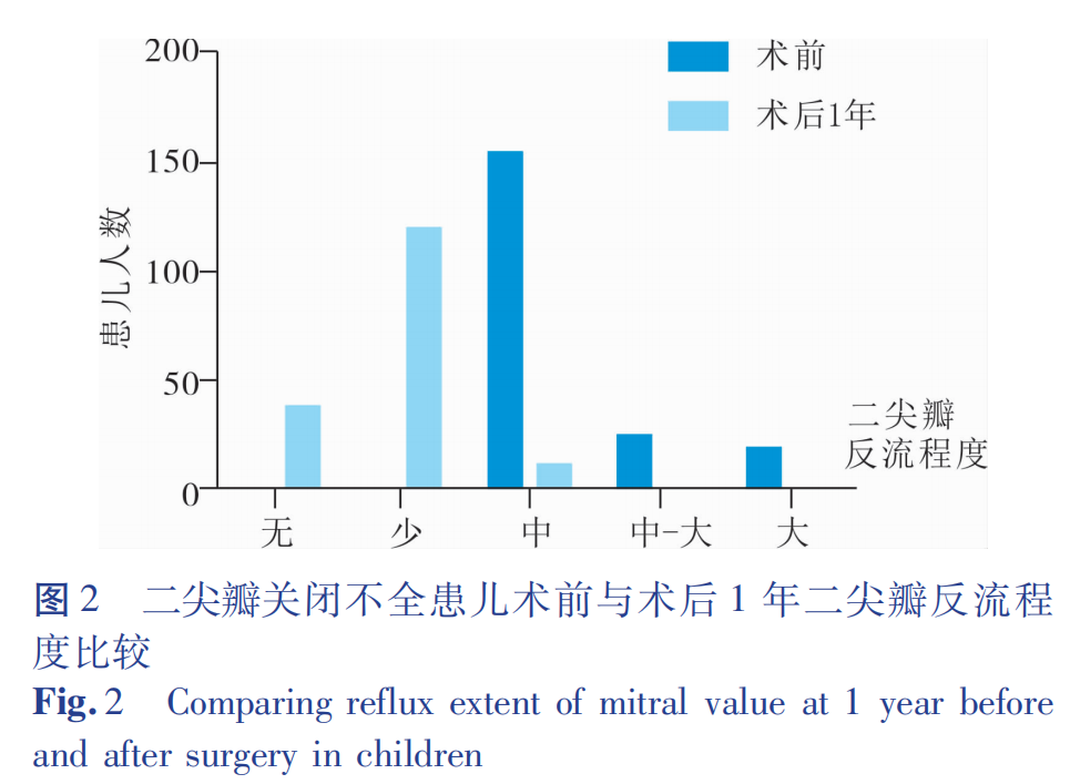 小儿二尖瓣关闭不全瓣膜成形术的临床疗效分析