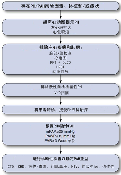 六张图表带你走进肺动脉高压的评估和处置