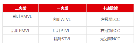 多图片解读超声心动图瓣膜分布，干货满满，快来收藏！
