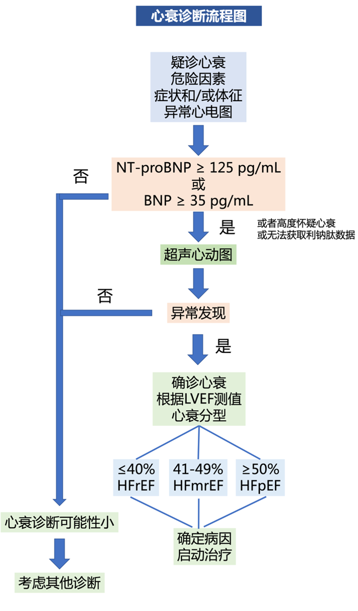 干货 | 2021 ESC 心衰指南要点速览：HFrEF（上）