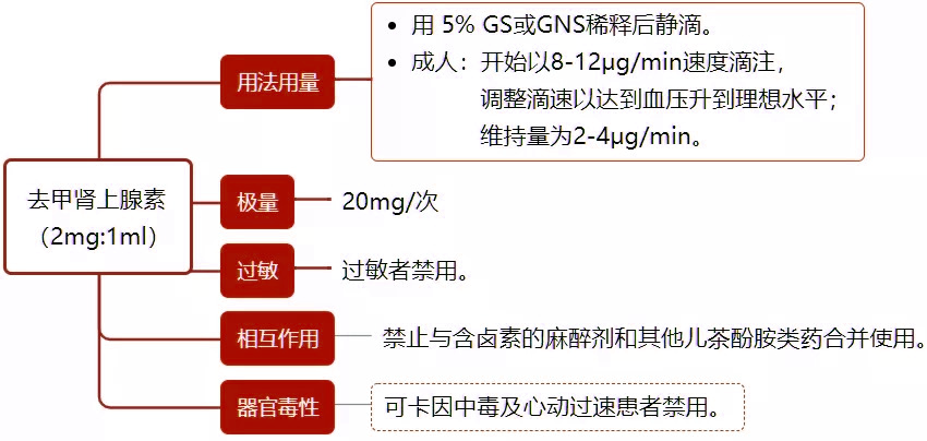 抢救宝典：14 种常用急救药物的用法用量