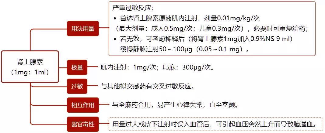 抢救宝典：14 种常用急救药物的用法用量