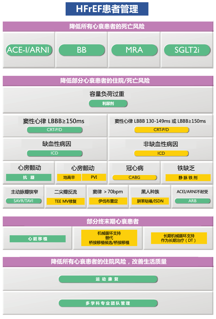 干货 | 2021 ESC 心衰指南要点速览：HFrEF（上）