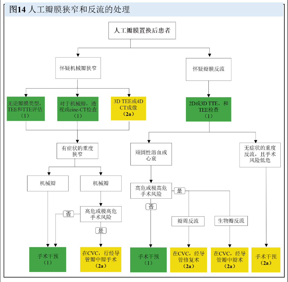 【解读】2020 年心脏瓣膜病患者管理指南（八）