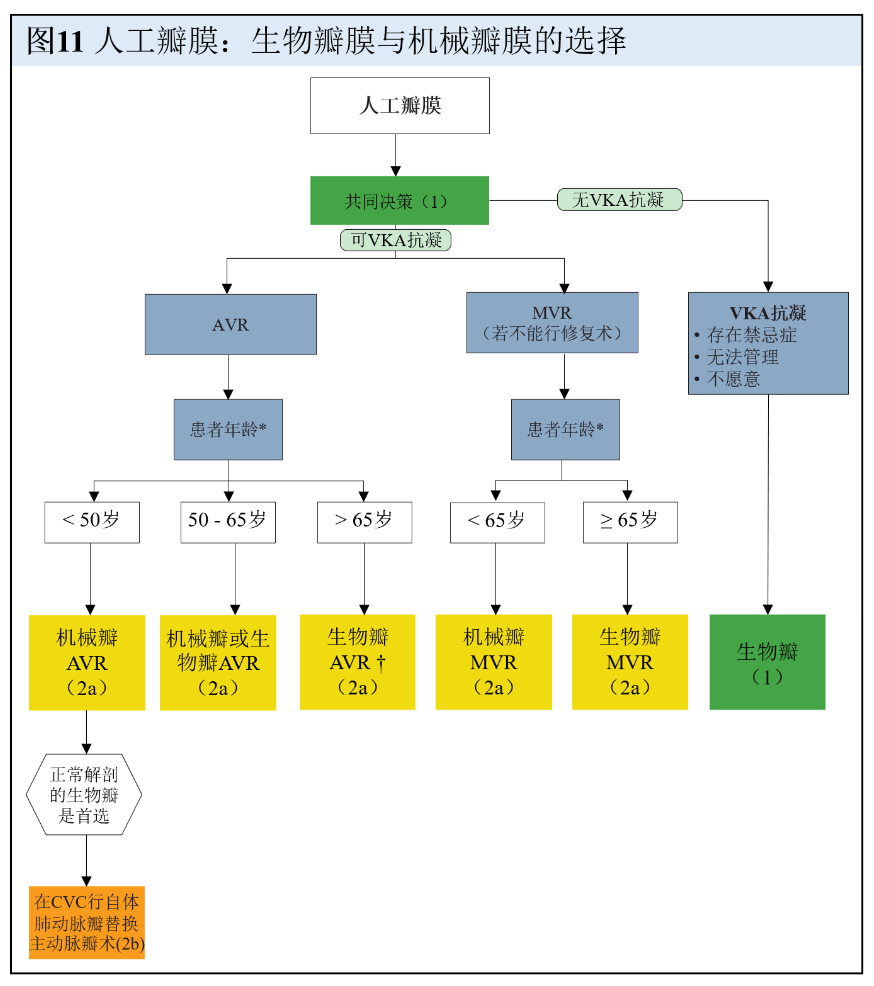 【解读】2020 年心脏瓣膜病患者管理指南（八）