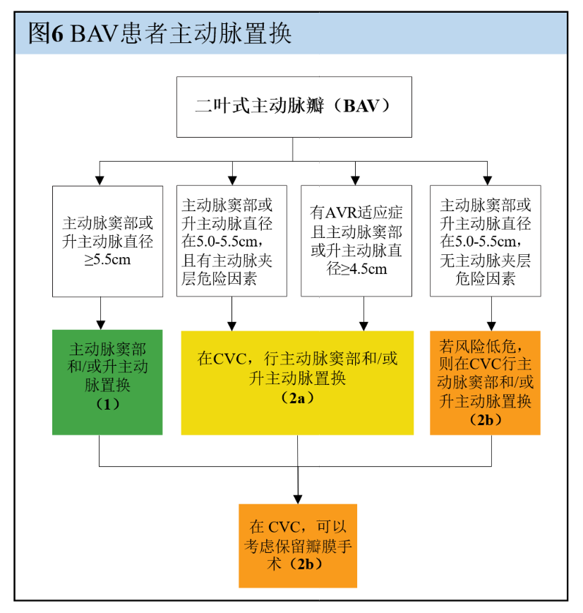 【解读】2020 年心脏瓣膜病患者管理指南（四）