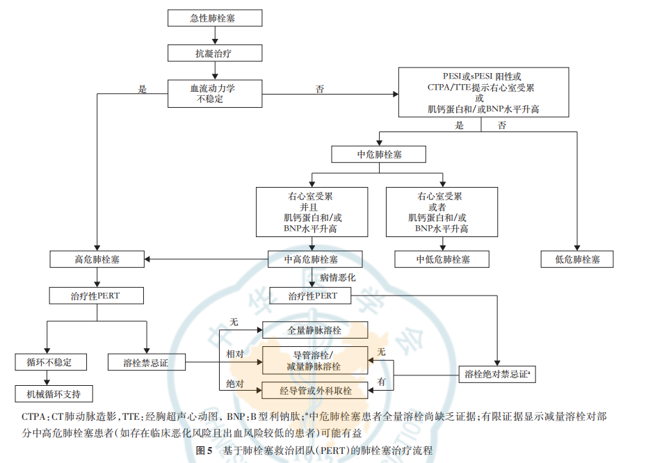 【指南与共识】急性肺栓塞多学科团队救治中国专家共识