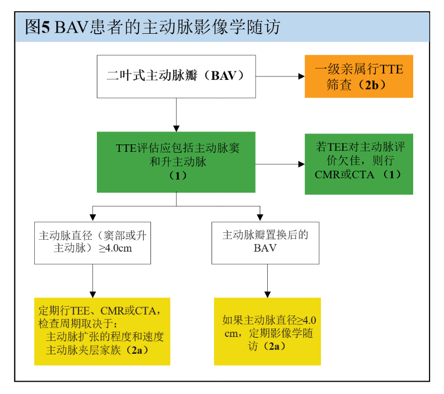 【解读】2020 年心脏瓣膜病患者管理指南（四）