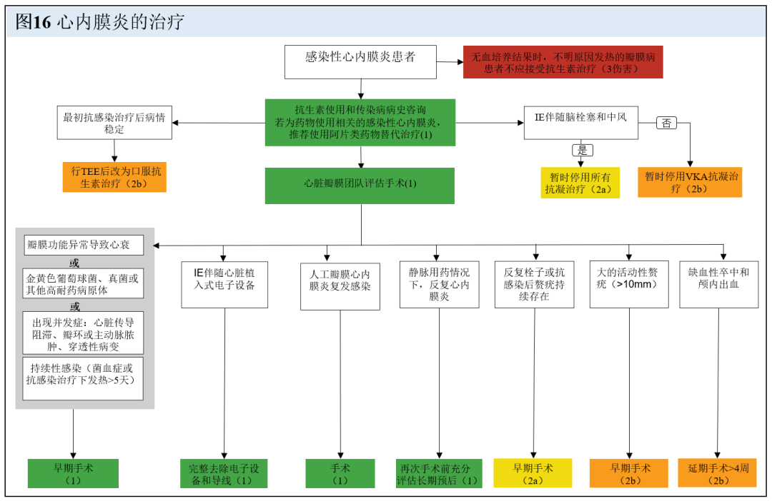 【解读】2020 年心脏瓣膜病患者管理指南（九）