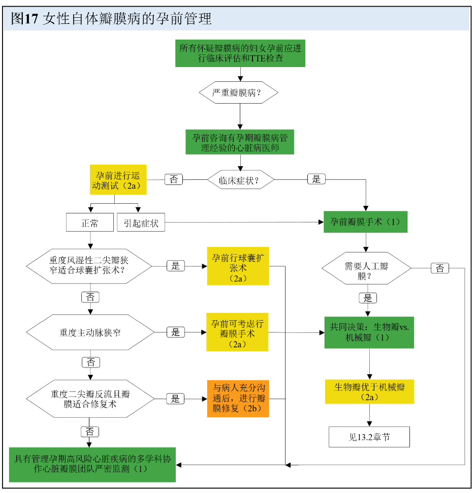 【解读】2020 年心脏瓣膜病患者管理指南（十）