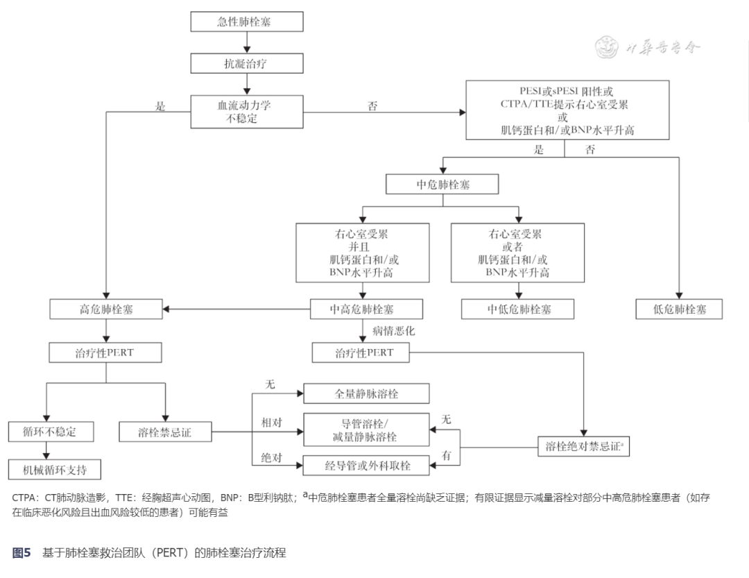 【指南与共识】急性肺栓塞多学科团队救治中国专家共识