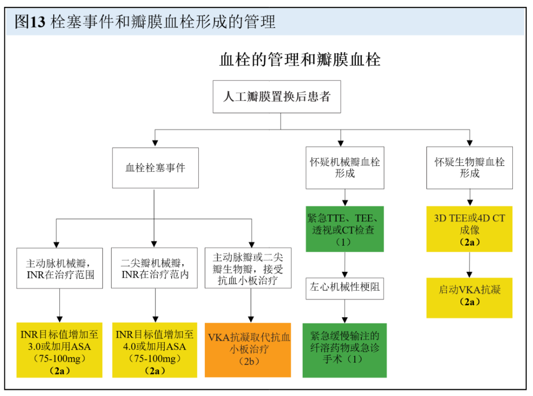 【解读】2020 年心脏瓣膜病患者管理指南（八）