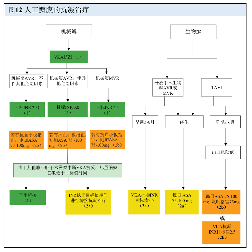 【解读】2020 年心脏瓣膜病患者管理指南（八）