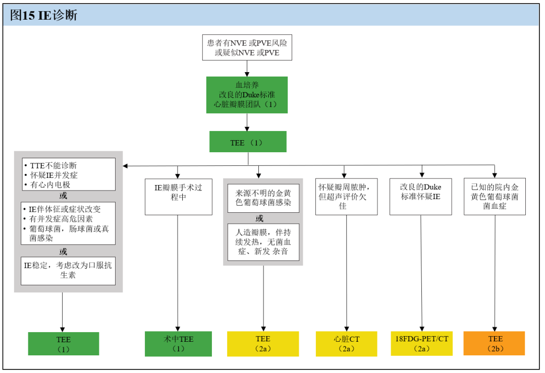 【解读】2020 年心脏瓣膜病患者管理指南（九）