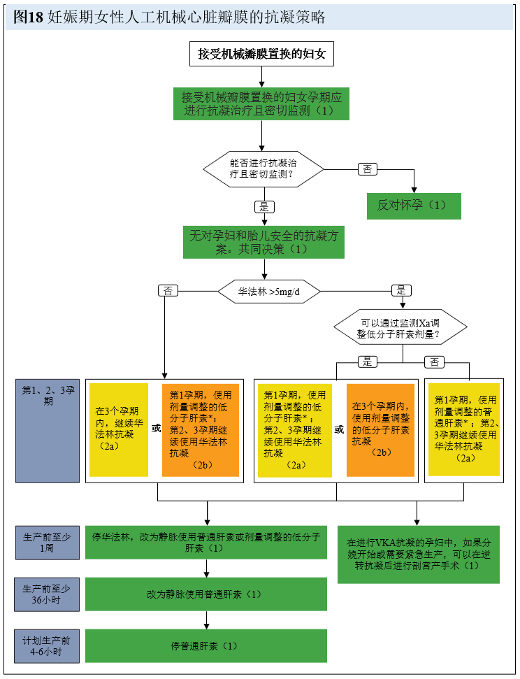 【解读】2020 年心脏瓣膜病患者管理指南（十）