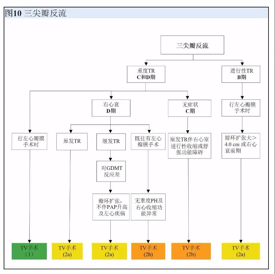【解读】2020 年心脏瓣膜病患者管理指南（七）