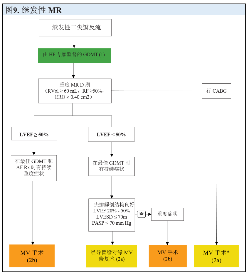 【解读】2020 年心脏瓣膜病患者管理指南（六）