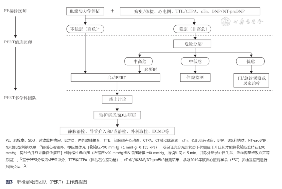 【指南与共识】急性肺栓塞多学科团队救治中国专家共识