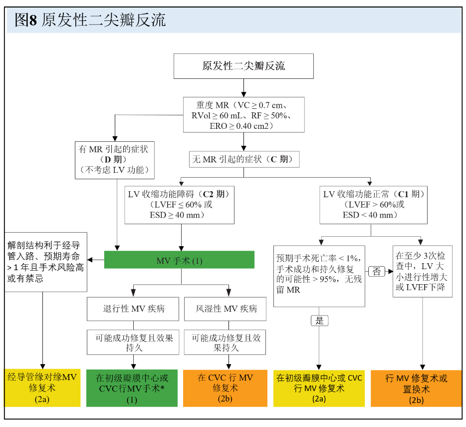 【解读】2020 年心脏瓣膜病患者管理指南（六）