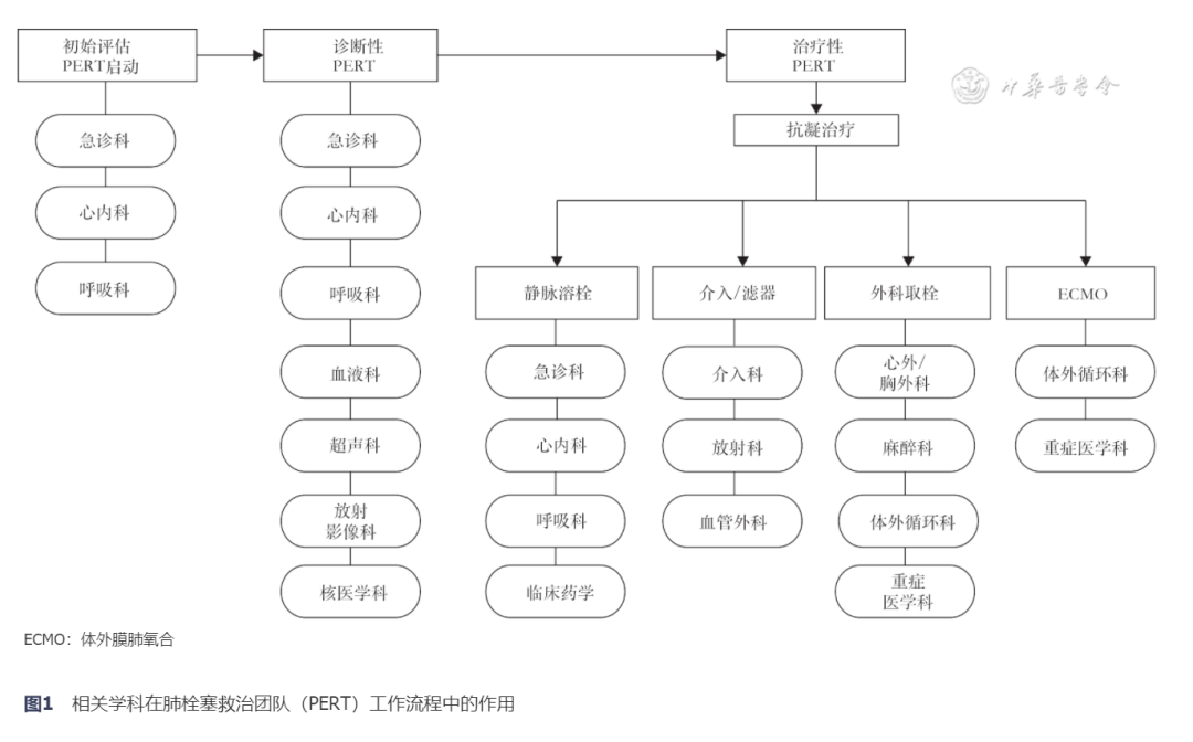 【指南与共识】急性肺栓塞多学科团队救治中国专家共识