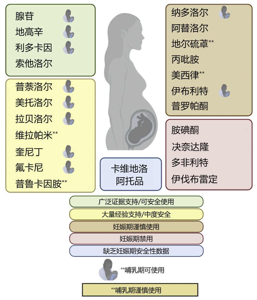 干货 | 妊娠期心律失常的管理（上）