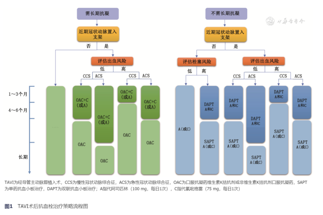 【指南与共识】经导管主动脉瓣植入术后抗血栓治疗中国专家共识