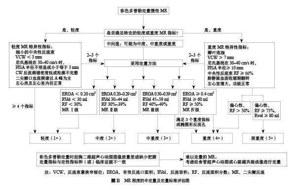 二尖瓣反流介入治疗的超声心动图评价中国专家共识