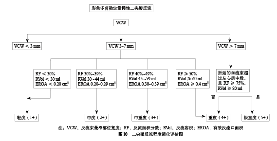 二尖瓣反流介入治疗的超声心动图评价中国专家共识